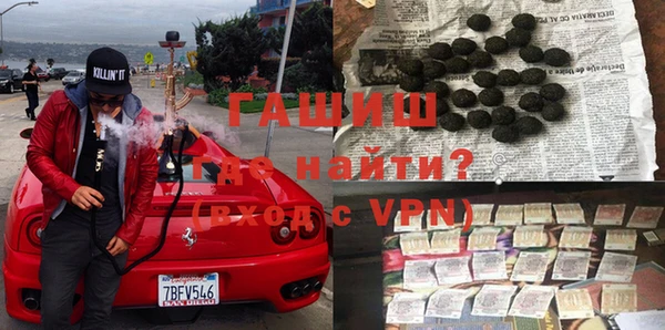 индика Нягань