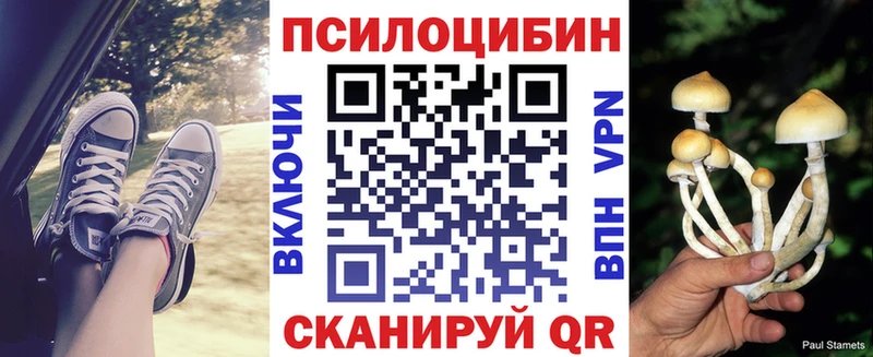 Галлюциногенные грибы Cubensis  Окуловка 
